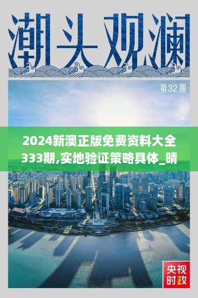 2024新澳正版免费资料大全333期,实地验证策略具体_晴朗版BKZ11.52