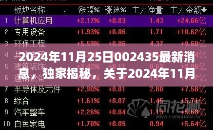 独家揭秘，关于2024年11月25日002435最新消息的全面解读与最新消息速递