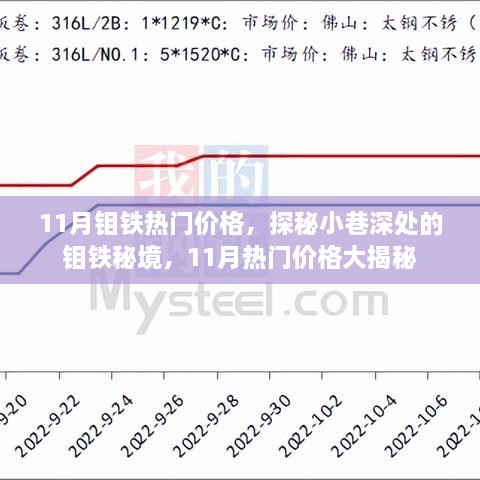 探秘小巷深处的钼铁秘境，揭秘11月热门价格大解密