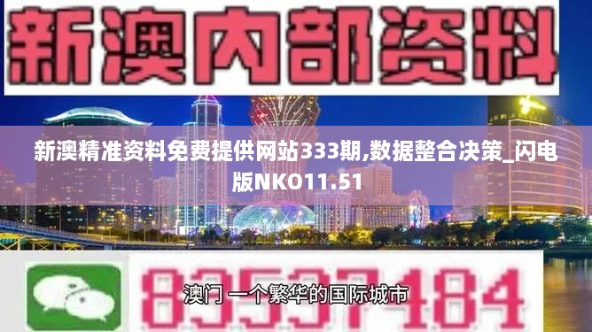 新澳精准资料免费提供网站333期,数据整合决策_闪电版NKO11.51