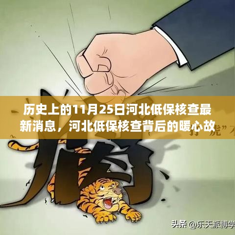 河北低保核查背后的暖心故事，11月25日的温馨际遇与最新消息