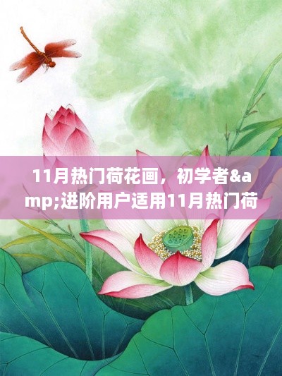 11月荷花画热潮，从初学者到进阶者的全攻略制作指南