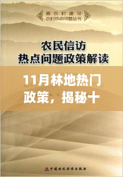 揭秘11月林地政策热点，关注要点解析与热门政策概览