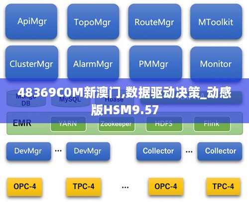 48369C0M新澳门,数据驱动决策_动感版HSM9.57