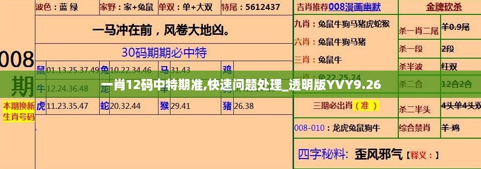 一肖12码中特期准,快速问题处理_透明版YVY9.26