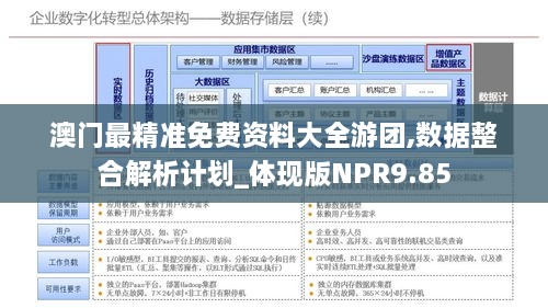 澳门最精准免费资料大全游团,数据整合解析计划_体现版NPR9.85