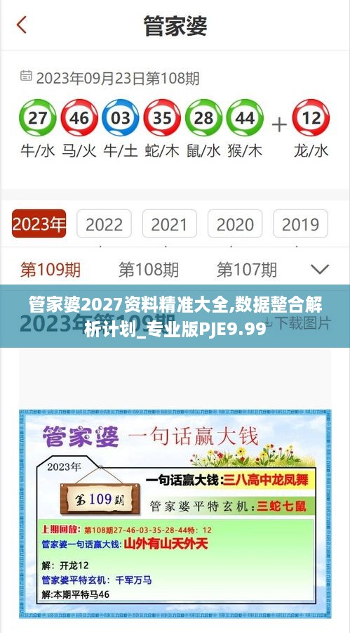 管家婆2027资料精准大全,数据整合解析计划_专业版PJE9.99