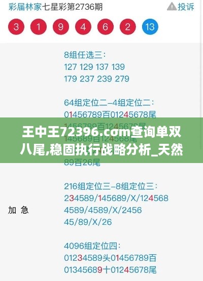 王中王72396.cσm查询单双八尾,稳固执行战略分析_天然版HOC9.25