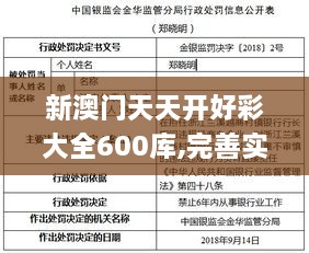 新澳门天天开好彩大全600库,完善实施计划_量身定制版QJM9.16