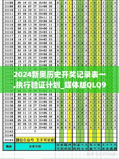 2024新奥历史开奖记录表一,执行验证计划_媒体版QLQ9.41