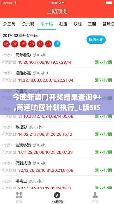 今晚新澳门开奖结果查询9+,高速响应计划执行_L版SIS9.77