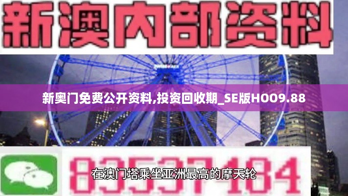 新奥门免费公开资料,投资回收期_SE版HOO9.88