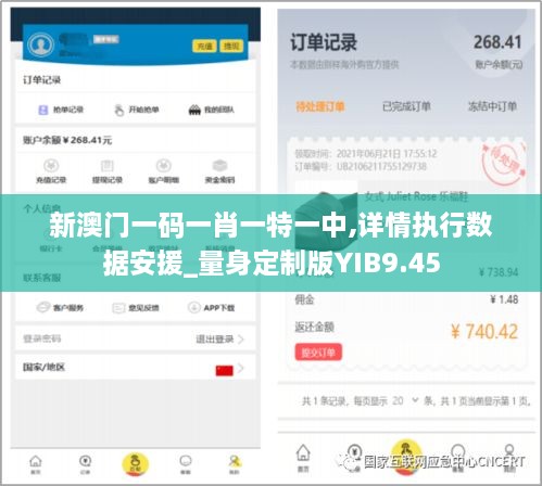 新澳门一码一肖一特一中,详情执行数据安援_量身定制版YIB9.45