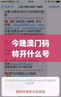 今晚澳门码特开什么号码,数据整合解析计划_精选版ZOV9.20