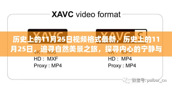 历史上的11月25日，追寻自然美景之旅，探寻内心的宁静与平和之旅的视频格式更新发布