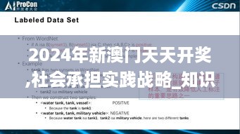 2024年新澳门天天开奖,社会承担实践战略_知识版SYP9.70