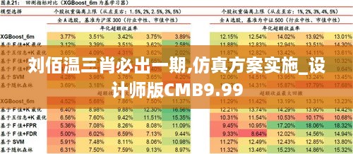 刘佰温三肖必出一期,仿真方案实施_设计师版CMB9.99