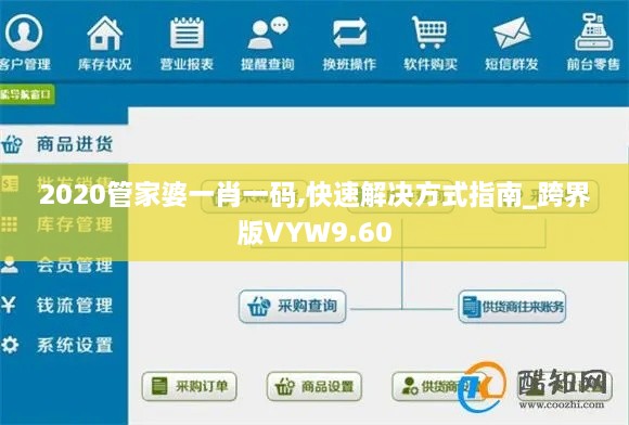 2020管家婆一肖一码,快速解决方式指南_跨界版VYW9.60