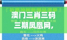 澳门三肖三码三期凤凰网,持续性实施方案_竞技版TQG9.62