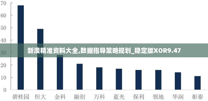 新澳精准资料大全,数据指导策略规划_稳定版XOR9.47