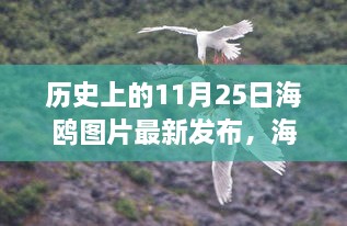 肝胆相照 第16页