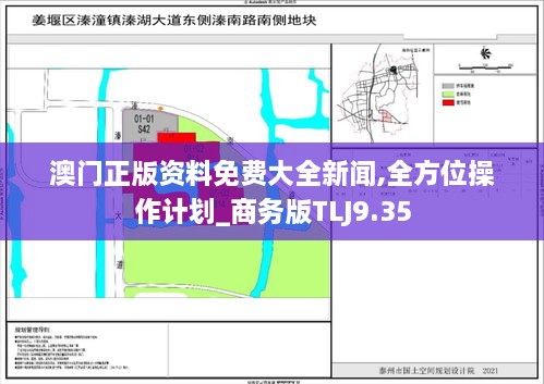 澳门正版资料免费大全新闻,全方位操作计划_商务版TLJ9.35