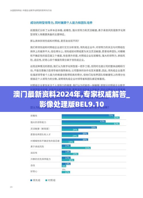 澳门最新资料2024年,专家权威解答_影像处理版BEL9.10