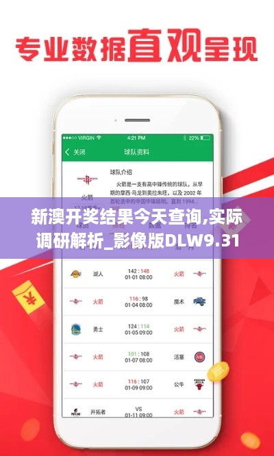 新澳开奖结果今天查询,实际调研解析_影像版DLW9.31