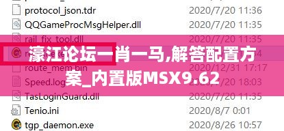 濠江论坛一肖一马,解答配置方案_内置版MSX9.62