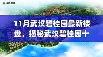 揭秘武汉碧桂园十一月新楼盘与巷弄深处的特色小店