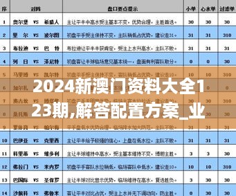 2024新澳门资料大全123期,解答配置方案_业界版VNM9.61