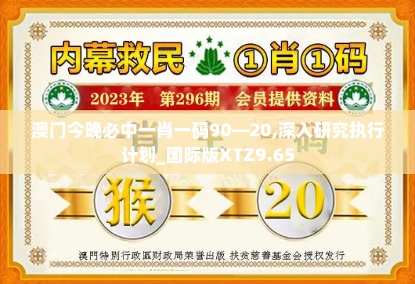 澳门今晚必中一肖一码90—20,深入研究执行计划_国际版XTZ9.65