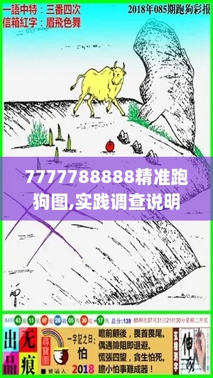 7777788888精准跑狗图,实践调查说明_百搭版GQU9.79