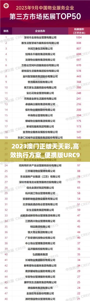 2023澳门正版天天彩,高效执行方案_便携版URC9.10