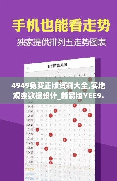 4949免费正版资料大全,实地观察数据设计_简易版YEE9.64