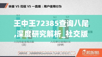 王中王72385查询八尾,深度研究解析_社交版DPE9.59