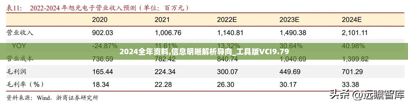 2024全年资料,信息明晰解析导向_工具版VCI9.79