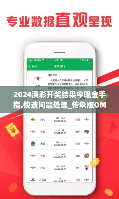 2024澳彩开奖结果今晚金手指,快速问题处理_传承版OMW9.76