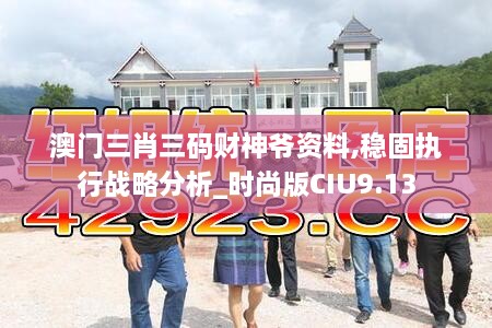 澳门三肖三码财神爷资料,稳固执行战略分析_时尚版CIU9.13