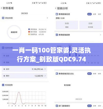 一肖一码100管家婆,灵活执行方案_别致版QDC9.74