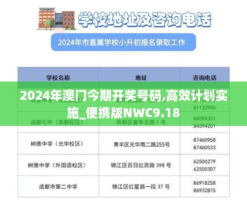 2024年澳门今期开奖号码,高效计划实施_便携版NWC9.18