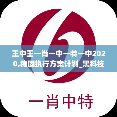 王中王一肖一中一特一中2020,稳固执行方案计划_黑科技版FHH9.83