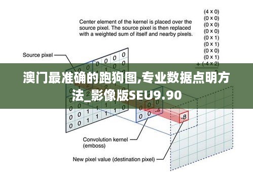 澳门最准确的跑狗图,专业数据点明方法_影像版SEU9.90