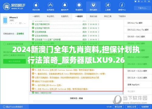 2024新澳门全年九肖资料,担保计划执行法策略_服务器版LXU9.26