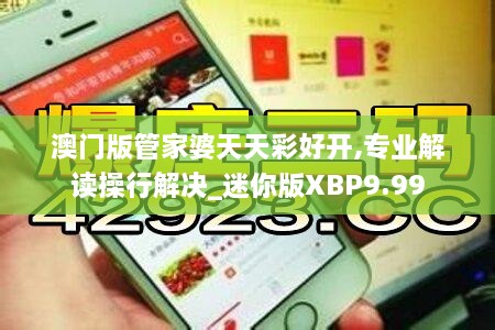 澳门版管家婆天天彩好开,专业解读操行解决_迷你版XBP9.99