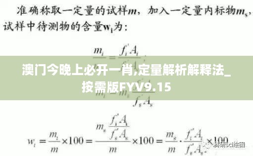 澳门今晚上必开一肖,定量解析解释法_按需版FYV9.15