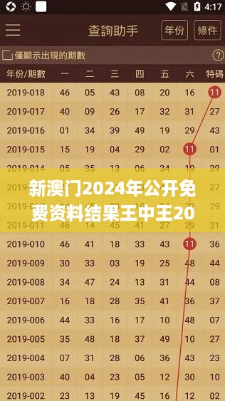 新澳门2024年公开免费资料结果王中王2024…,持续性实施方案_探索版XVS9.66