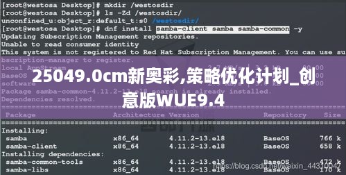 25049.0cm新奥彩,策略优化计划_创意版WUE9.4