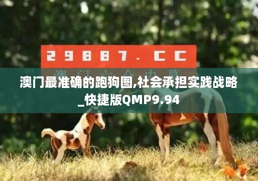 澳门最准确的跑狗图,社会承担实践战略_快捷版QMP9.94