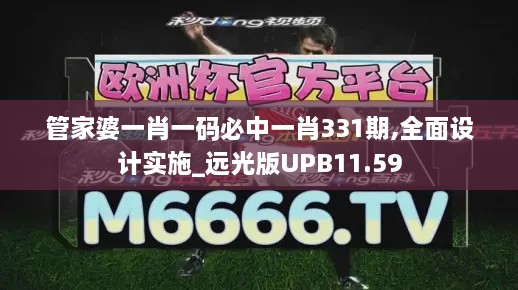 管家婆一肖一码必中一肖331期,全面设计实施_远光版UPB11.59